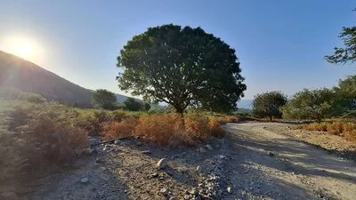 Auf dem Weg vom Grigoraki