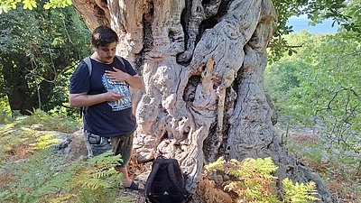 Knorriger Baum nahe des „Paradiso“