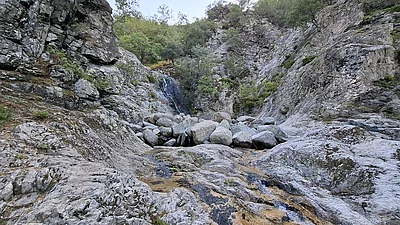 am Gregoraki