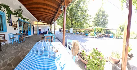 Taverne Gria Vathra