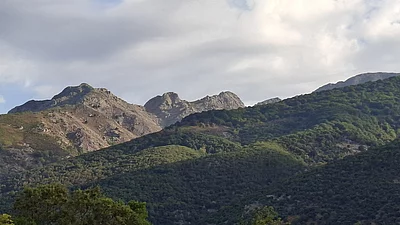 Fengari