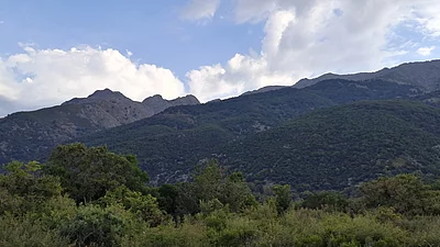 Fengari