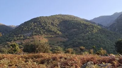 Auf dem Weg vom Grigoraki