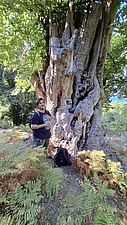 Knorriger Baum nahe des „Paradiso“