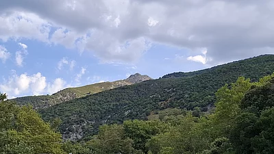 Fengari