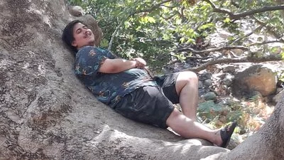 Typisch knorrige, uralte Platane im Wald bei Therma, Samothraki