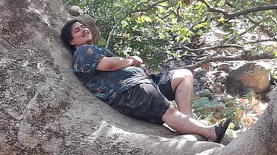 Typisch knorrige, uralte Platane im Wald bei Therma, Samothraki