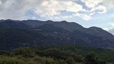 Fengari