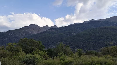 Fengari