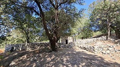 Holy Monastery of Christ